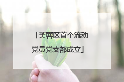 芙蓉区首个流动党员党支部成立